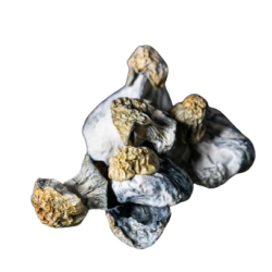 Ghost Dried Mushrooms