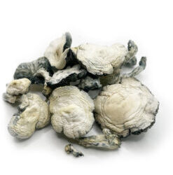 Jack Frost Dried Mushrooms