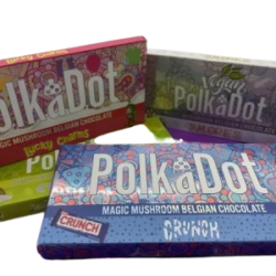 buy PolkaDot Mushroom Bar Online in US