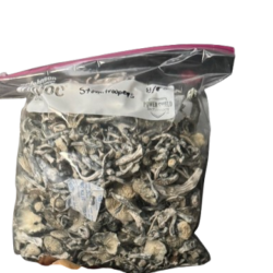 Buy Storm trooper Dried Magic Mushroom