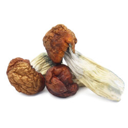 Buy Blue Pulaski Magic Mushrooms Online