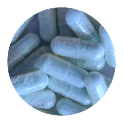 Buy Blue Dolphin MDMA Capsules in the US